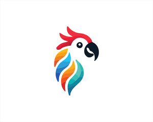 parrot on a white
