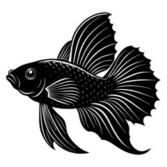 fish vector illustration