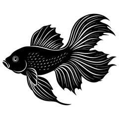 fish vector illustration