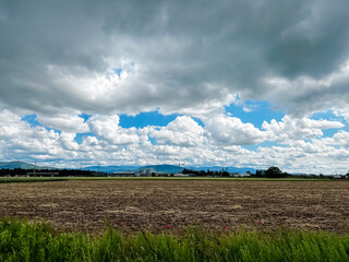 Field of grass with a cloudy sky in the background