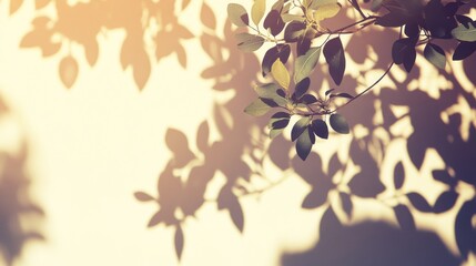 Sunlight casts leaf shadows on a wall, creating a tranquil backdrop for design