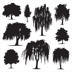 set of black vector willow tree silhouette  © Abdur Razzak ID: #52