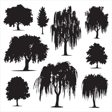 set of black vector willow tree silhouette	