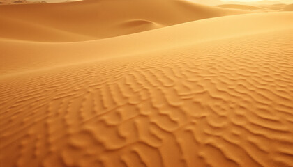 Golden sand dunes with rippled textures in sunlight
