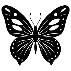 black and white butterfly