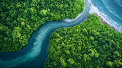 Winding Clean River Through Lush Forest and Unpolluted Landscape