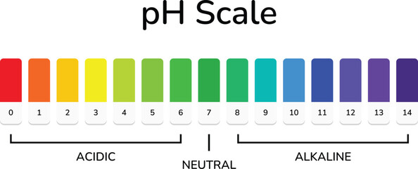 Ph Scale with indicator number