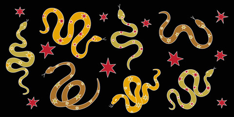 Stylized Snakes with Stars Displayed on a Deep Black Background for a Striking Visual