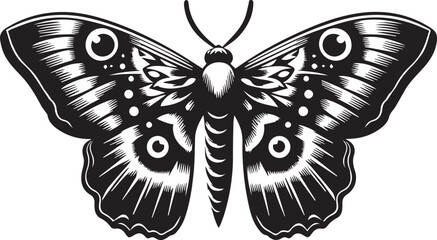 Butterfly art and illustration vector black on white background.