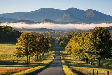 Fototapeta premium Autumn Road Leading to Misty Mountains