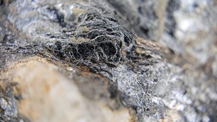 macro photography of black mica 2