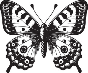 Butterfly art and illustration vector black on white background.