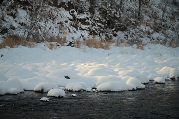 Fototapeta premium snow in the forest