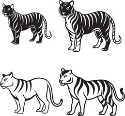 Obraz premium line art silhouette vector illustration 