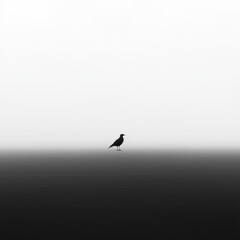 Obraz premium Solitary bird in minimalist landscape nature black and white calm environment close-up view artistic interpretation