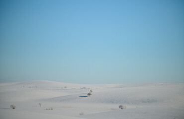 footprints in the snow