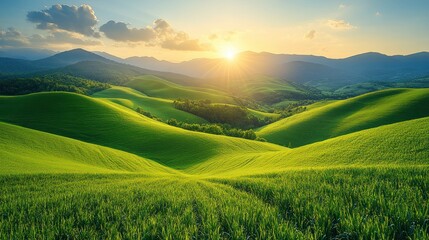 Obraz premium Sunrise over rolling green hills