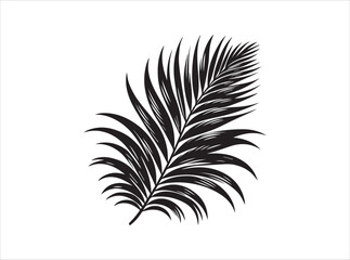 Palm Leaf Silhouette | Black and White Tropical Illustration

