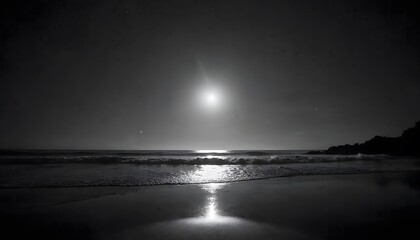 Serene Moonlight Beach Scene Black and White Photography