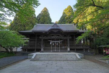 Fototapeta premium 彌高神社