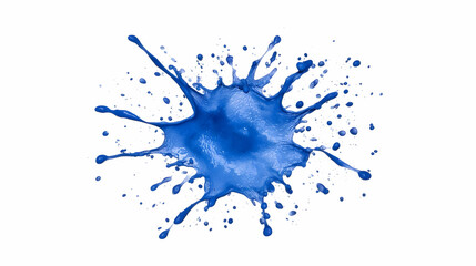Fototapeta premium Blue paint splash isolated on white background; design element