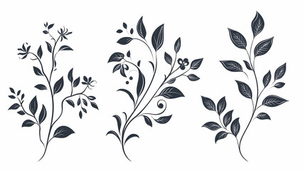 Elegant floral design elements; leaves, branches, flowers; white background; for design projects