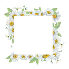 Obraz premium Frame of delicate watercolor daisies. Frame for your invitations to holidays and events. Hand-drawn frame with space for your text.
