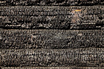 Background, texture charred boards after a fire