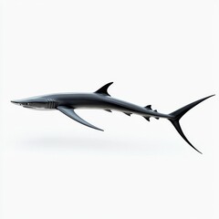 Graceful Shark Swimming in Clear Water with a Sleek and Aerodynamic Body Design