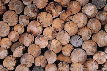 Background, texture, surface decorated with end cuts of logs