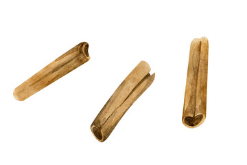 Ceylon cinnamon. Cinnamon sticks isolated on white background set. Watercolor spicy spice for baking, desserts and drinks.