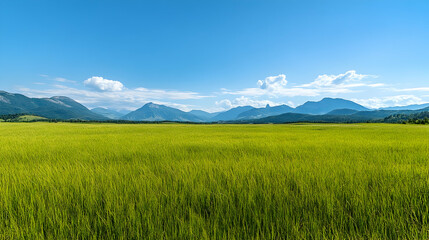 Obraz premium Summer mountain valley, green field, clear sky, idyllic landscape, travel postcard