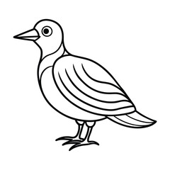 hand drawn vector illustration of a bird