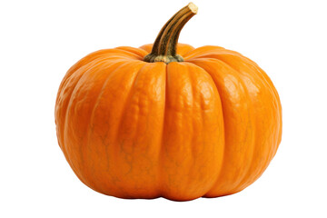 Fototapeta premium A vibrant orange pumpkin with a smooth, glossy surface, showcasing a slightly ribbed texture around its rounded shape. The stem protrudes from the center, adding a touch of earthy brown.