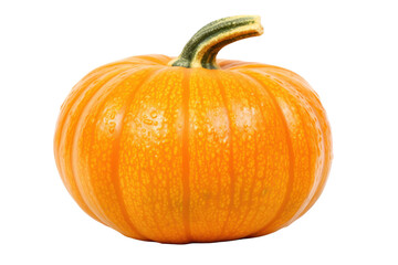 A vibrant orange pumpkin with a smooth, glossy surface, showcasing a slightly ribbed texture around its rounded shape. The stem protrudes from the center, adding a touch of earthy brown.