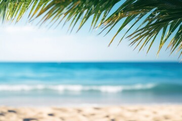 Beach with coconut leaves summer backgrounds outdoors.