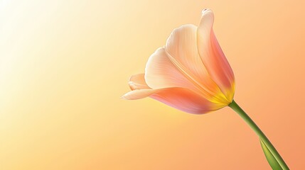 Obraz premium Elegant closeup of single pink flower on matching pink backdrop, a study in minimalist floral beauty