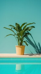 Obraz premium Plant outdoors hotel leaf.