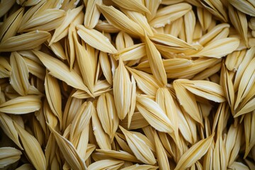 Close-up of Organic Rice Grains