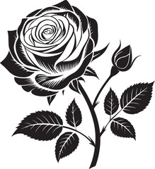 Rose vector silhouette image 