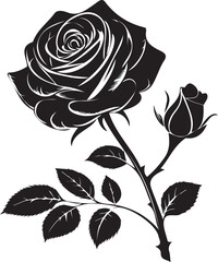 Rose vector silhouette image 
