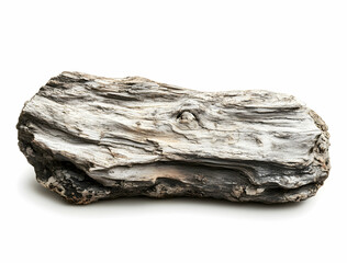 Ancient Petrified Wood Specimen: A Close-Up View of a Gray and Brown Fossilized Tree Trunk