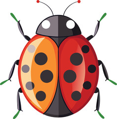 Beauty Floral Pattern Vector Image on White Background.