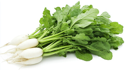 Fresh White Radish with Leaves