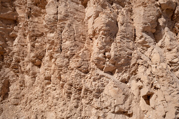 texture of the stone