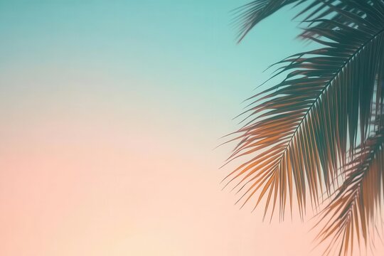 serene tropical beach at golden hour with soft focus palm silhouettes and pastel sky gradient