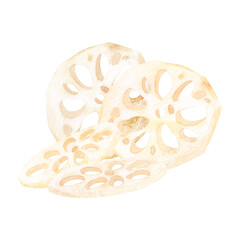Lotus root peeled and sliced. Asian food. Watercolor monochrome illustration isolated on background. Hand drawn composition. For decoration, design, packaging, logo