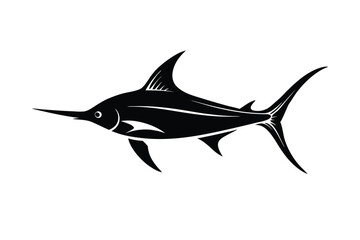 shark isolated on white background
