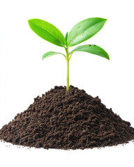 Pile of soil scattered on transparent background