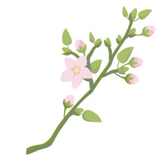  blossoming  apple tree branche with pink flowers and bud